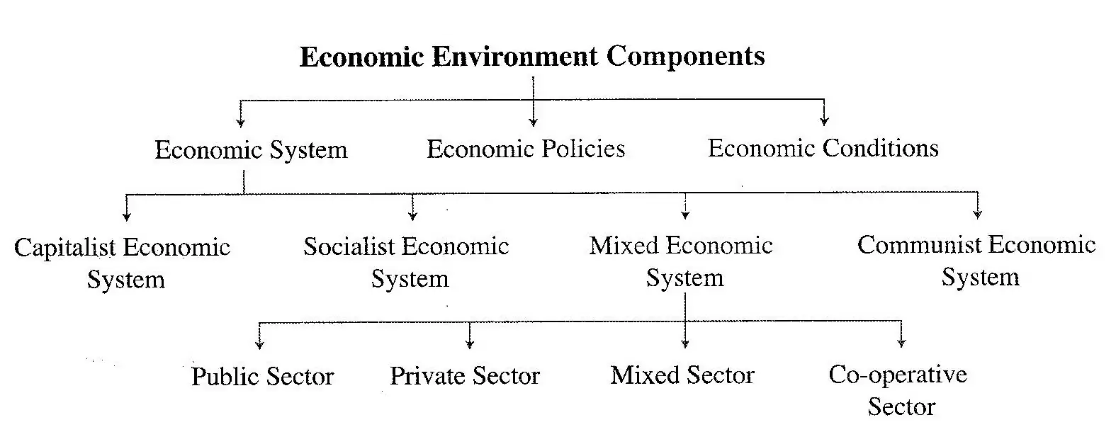 What is the Economic Environment?