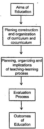 Discuss the Relationship between Aims, Objectives and Other Educational Processes.