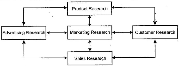 Explain the Scope of International Marketing Research.
