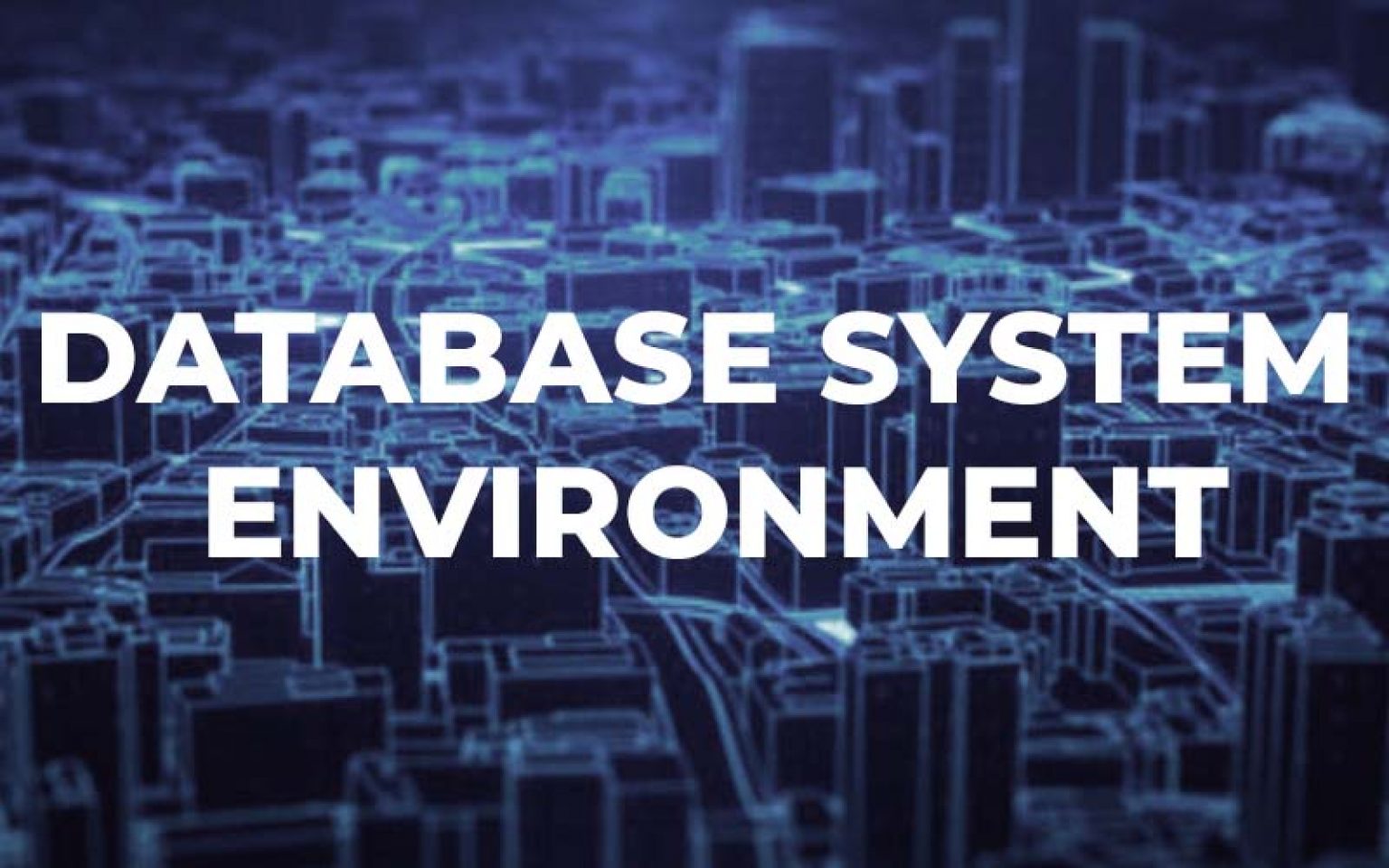 The Components of Database System Environment - Owlgen