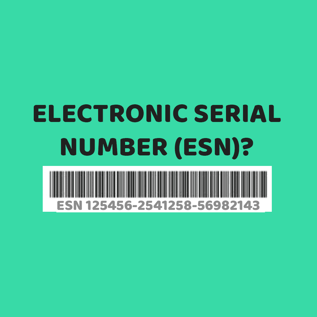 Electronic Serial Number (ESN)