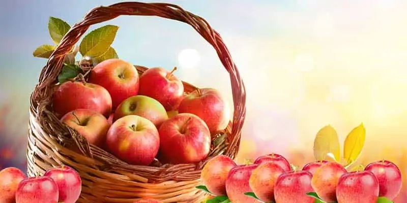 Health benefits of apples against the heat waves of summer