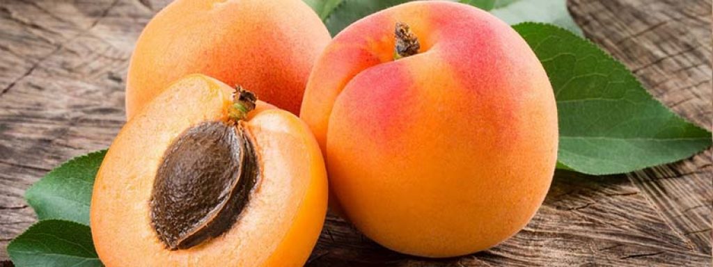 Apricots - The High Protein Fruits 