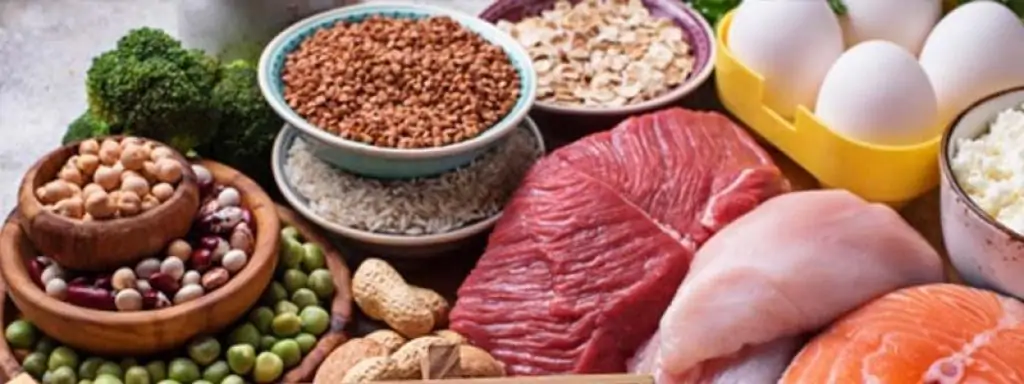 Benefits of Eating High Protein Diet