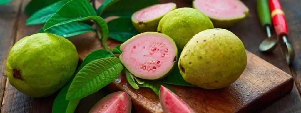 Guavas- The High Protein Fruits 