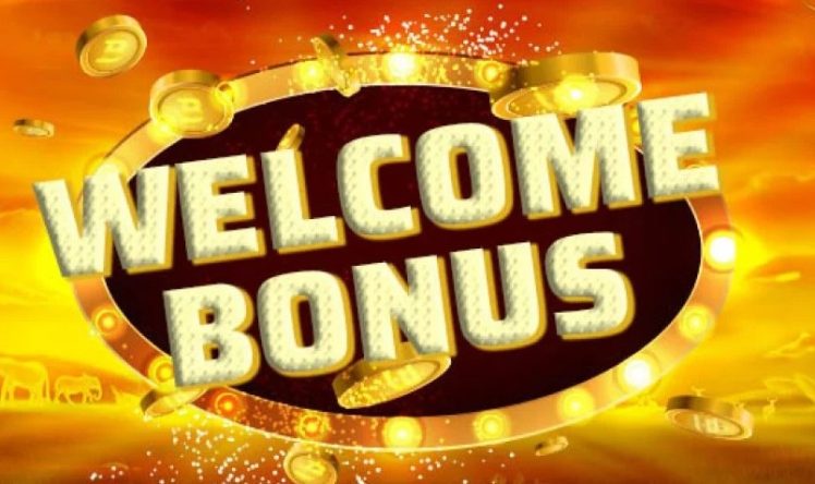Online Casinos India With Best Bonuses